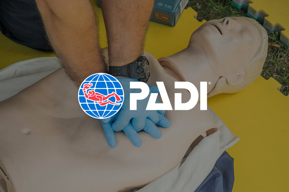 First Aid